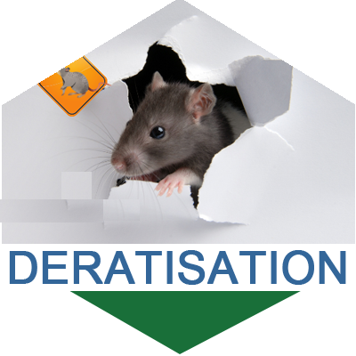 Dératisation