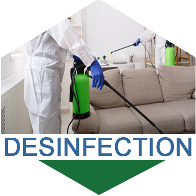 Désinfection
