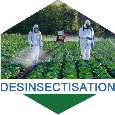 Désinsectisation